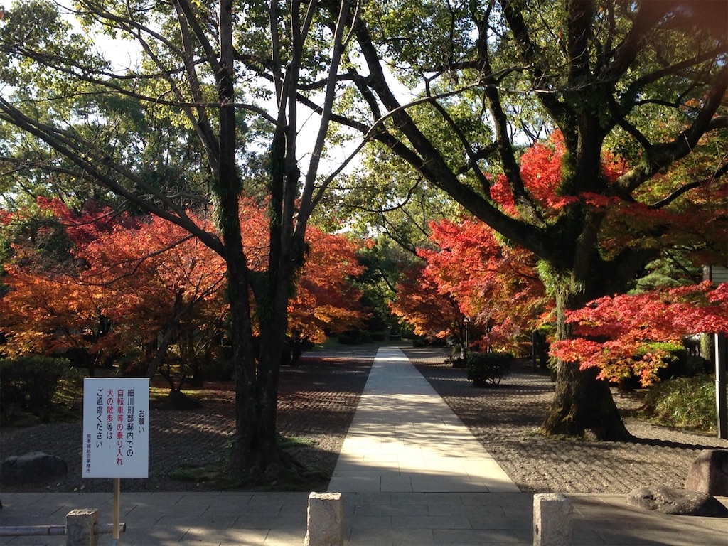 f:id:sora1045:20201014161709j:image f:id:sora1045:20201014161709j:image