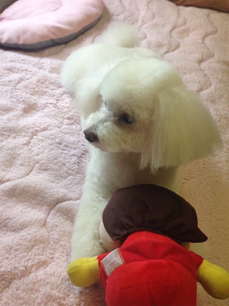 f:id:sora1045:20201017141315j:image f:id:sora1045:20201017141315j:image