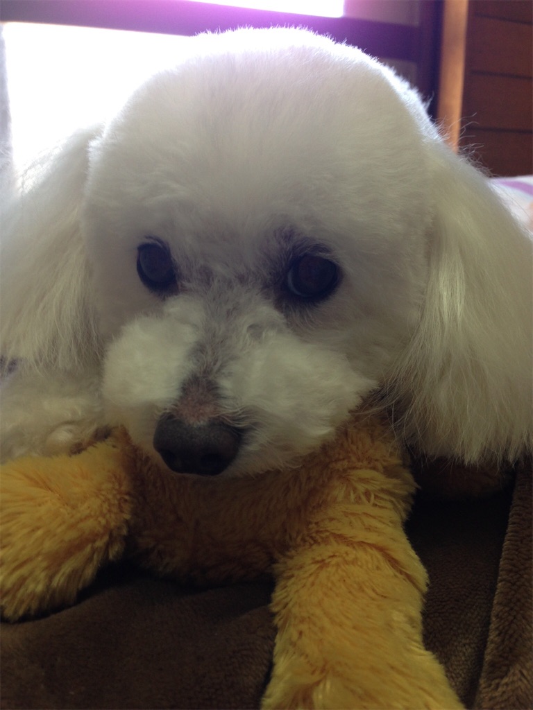 f:id:sora1045:20201017160045j:image f:id:sora1045:20201017160045j:image