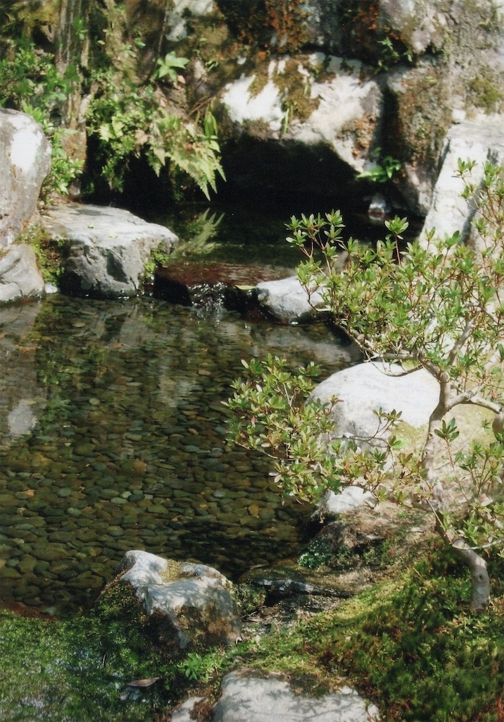 f:id:sora1045:20210329203919j:image f:id:sora1045:20210329203919j:image