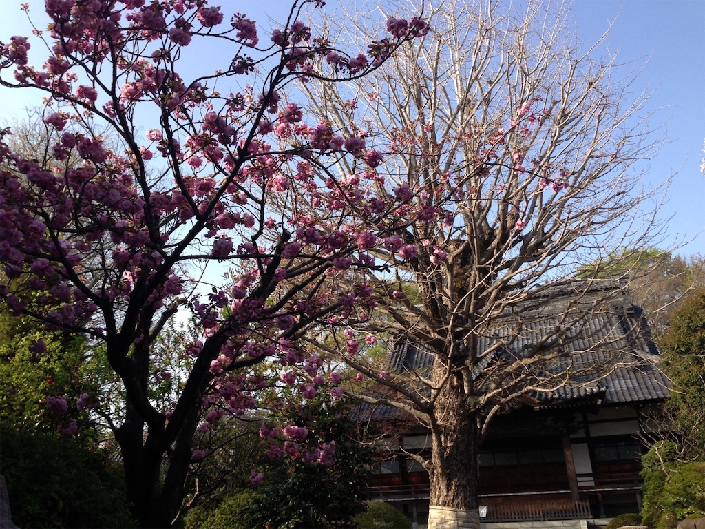f:id:sora1045:20210530203217j:image