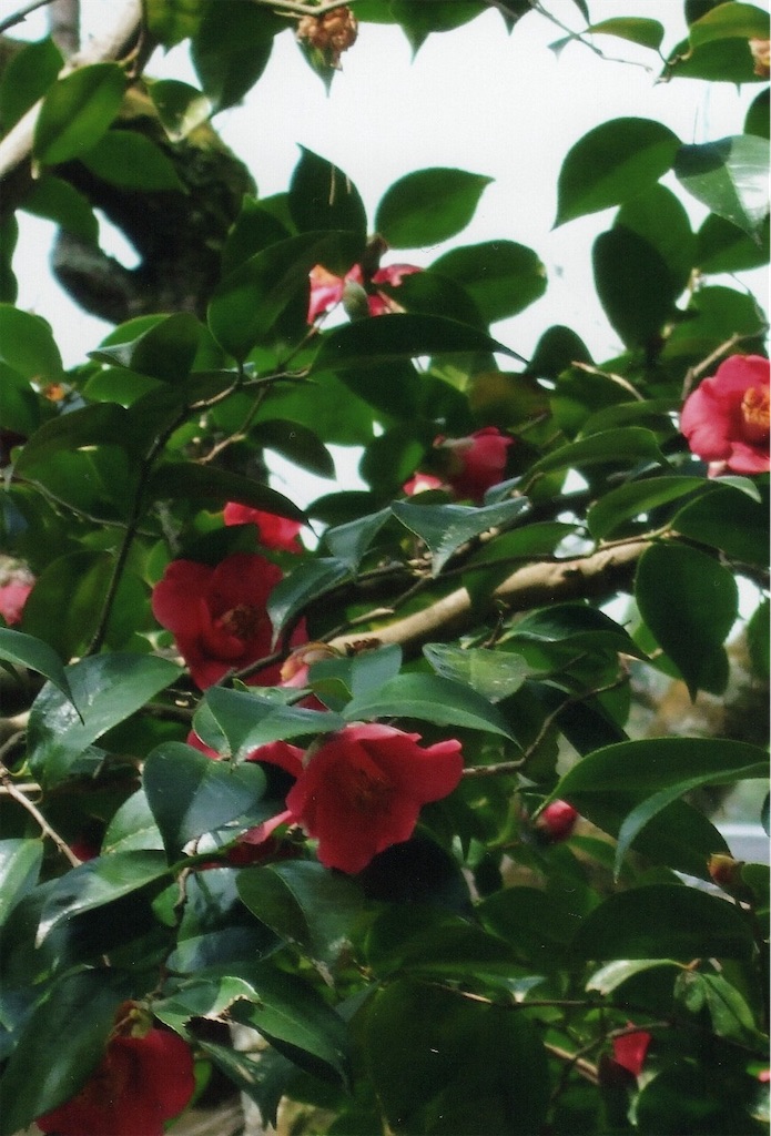 f:id:sora1045:20211008093735j:image