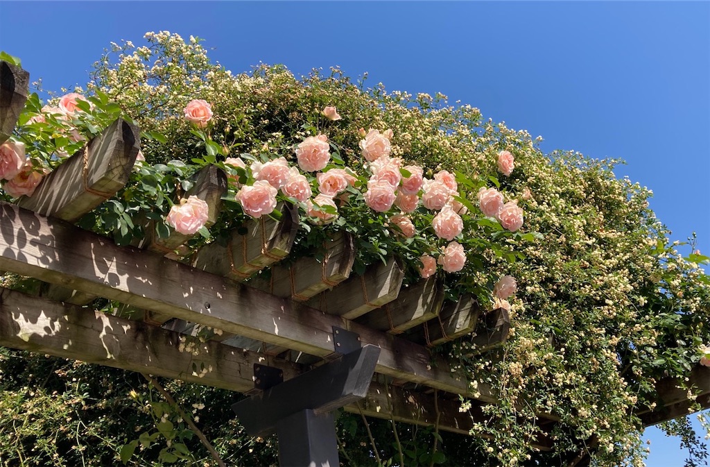 f:id:sora1045:20211130203127j:image f:id:sora1045:20211130203127j:image