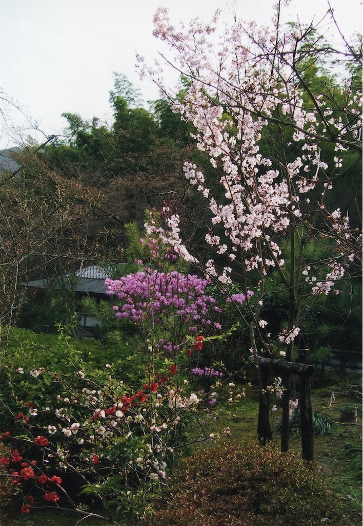 f:id:sora1045:20220321091349j:image f:id:sora1045:20220321091349j:image