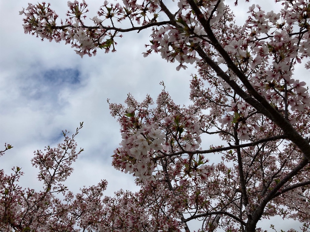 f:id:sora1045:20220414104425j:image