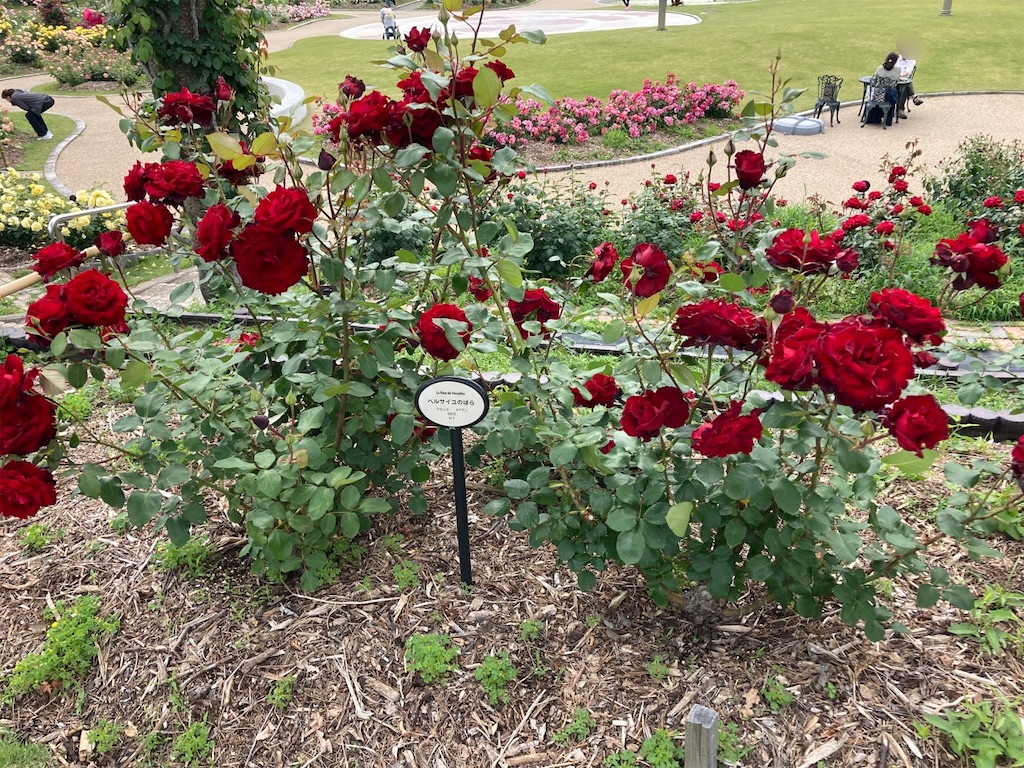 f:id:sora1045:20220628103755j:image