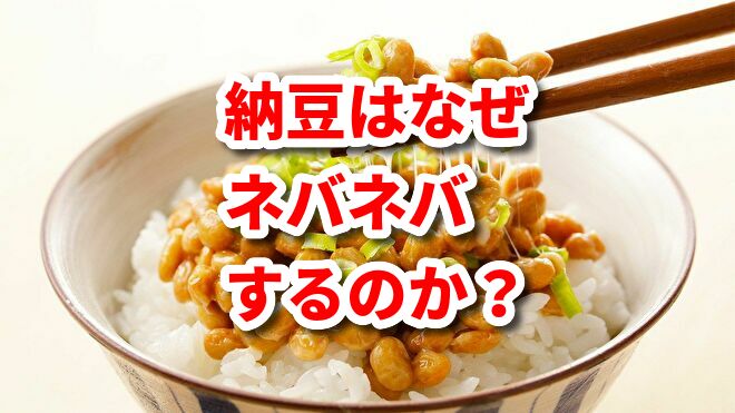 f:id:sora5934:20200909193502j:plain