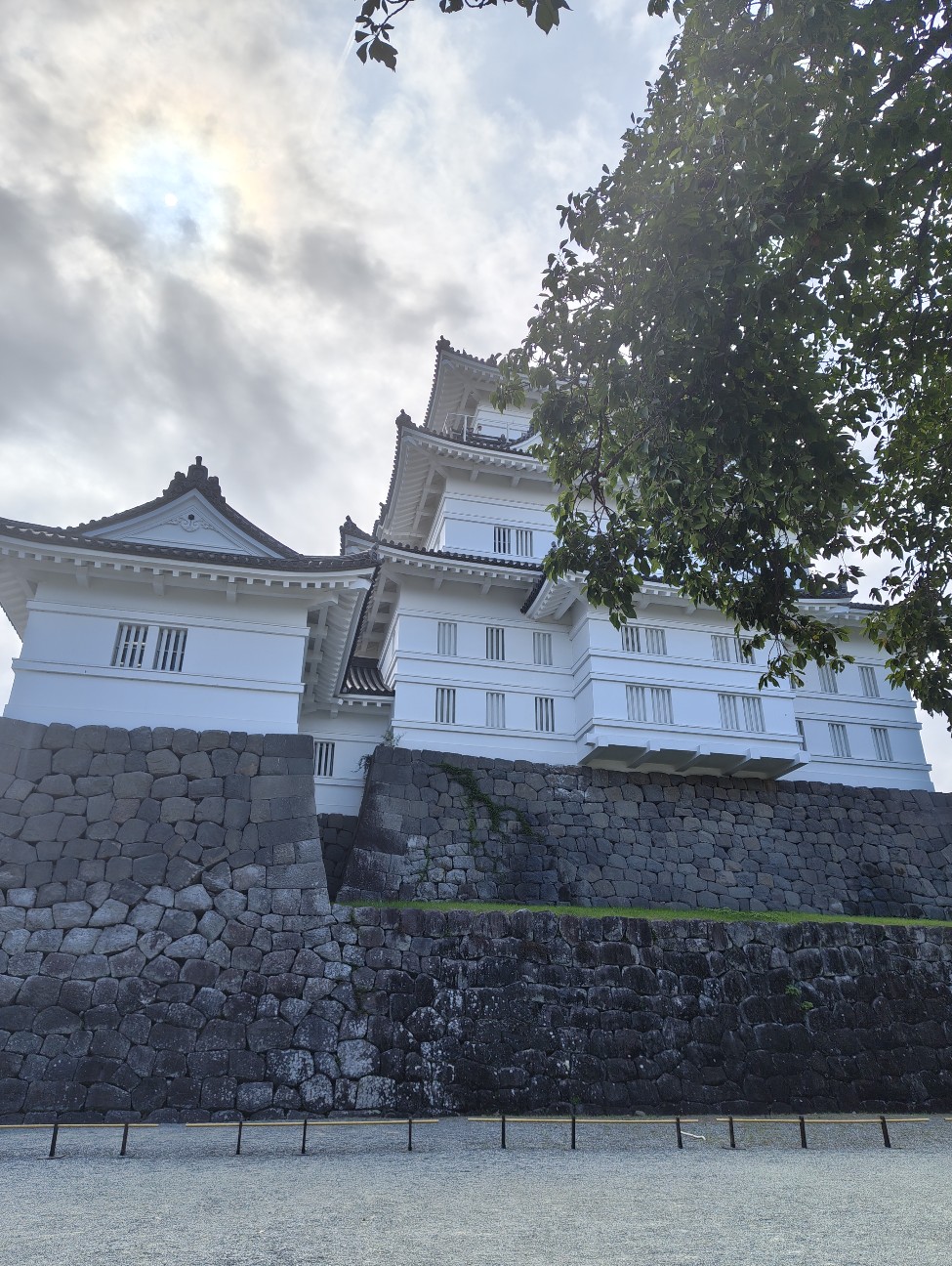 f:id:sora719:20260719205024j:image f:id:sora719:20260719205024j:image