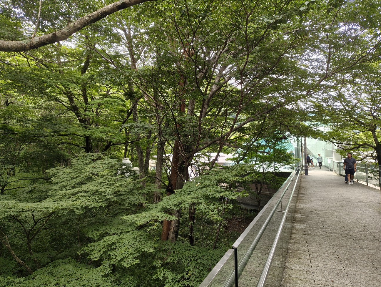 f:id:sora719:20260720184520j:image f:id:sora719:20260720184520j:image