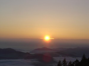 DSC06297