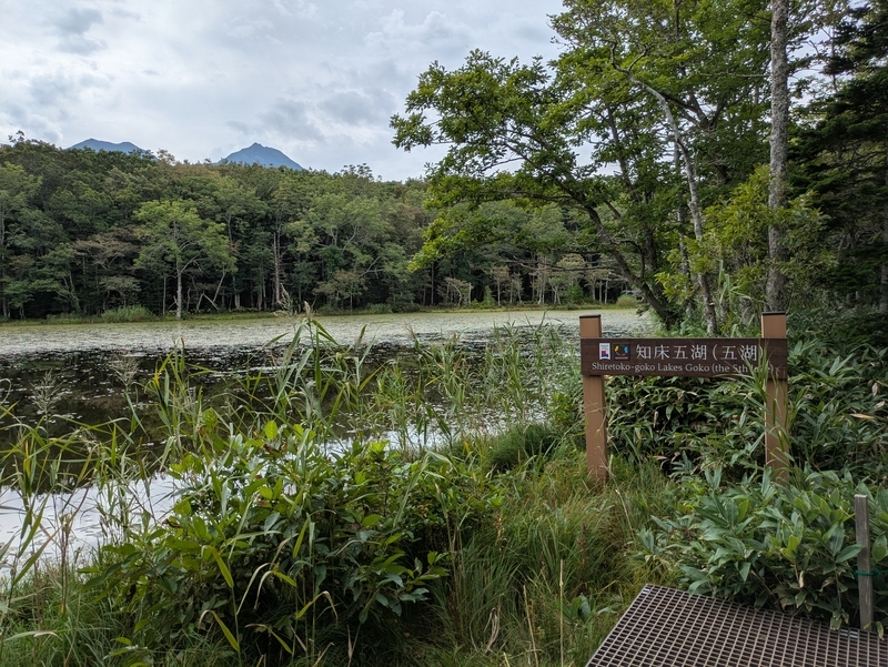 知床五湖散策