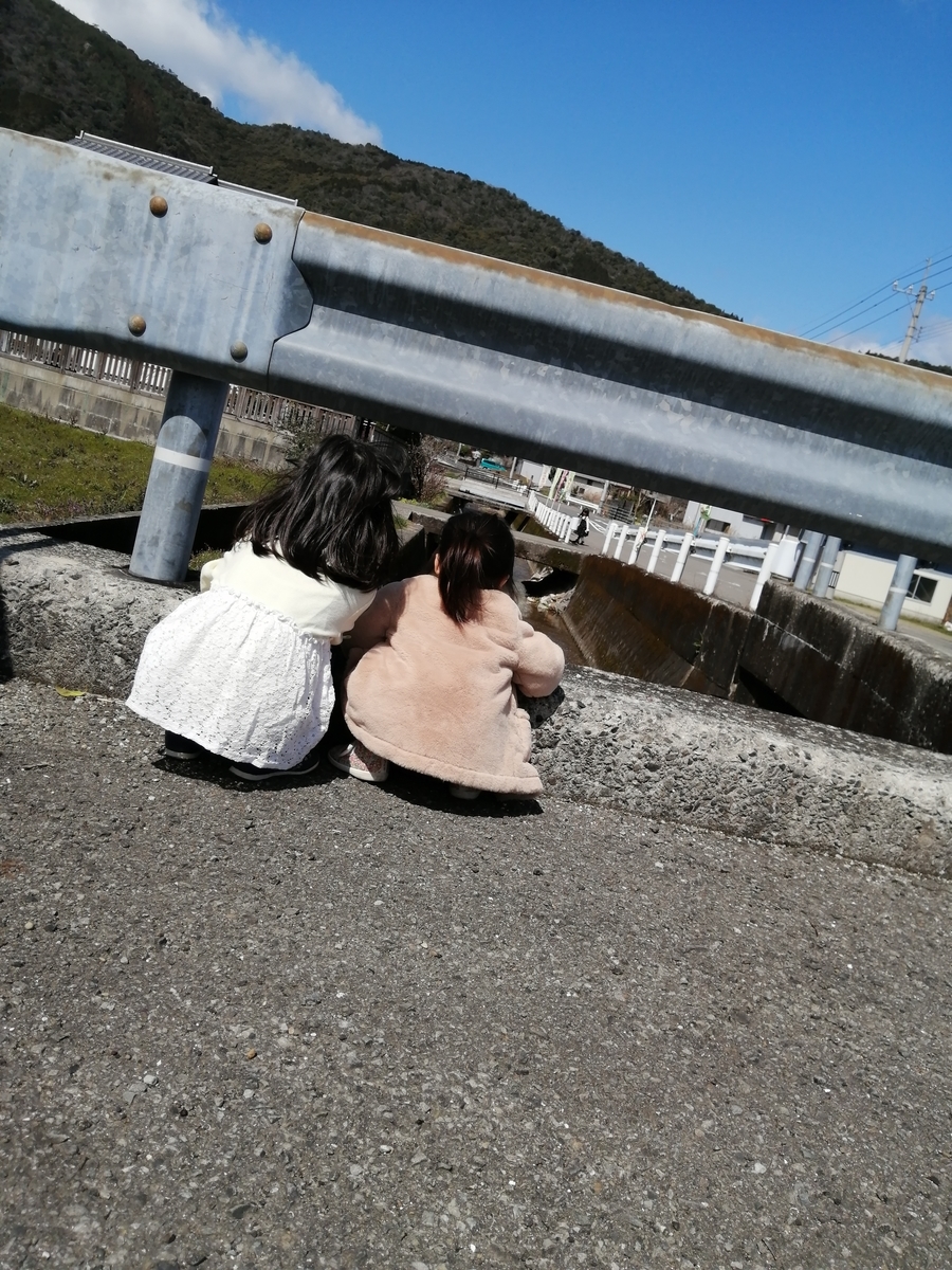 f:id:sora_cafe:20200311144350j:plain f:id:sora_cafe:20200311144350j:plain
