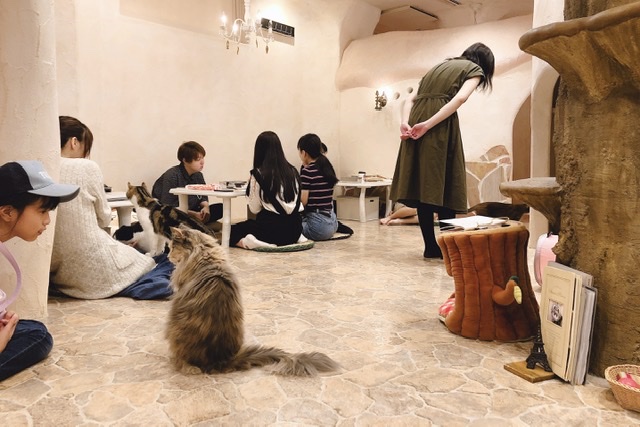 f:id:sora_nekoyashiki:20191220174923j:plain f:id:sora_nekoyashiki:20191220174923j:plain