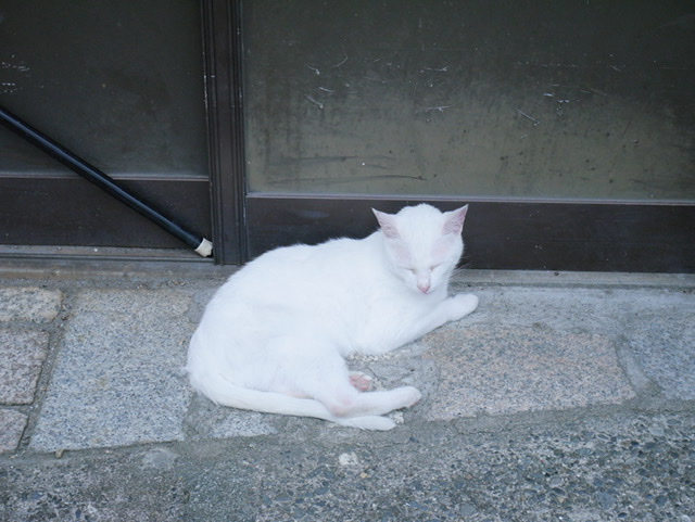 f:id:sora_nekoyashiki:20191226103608j:plain f:id:sora_nekoyashiki:20191226103608j:plain