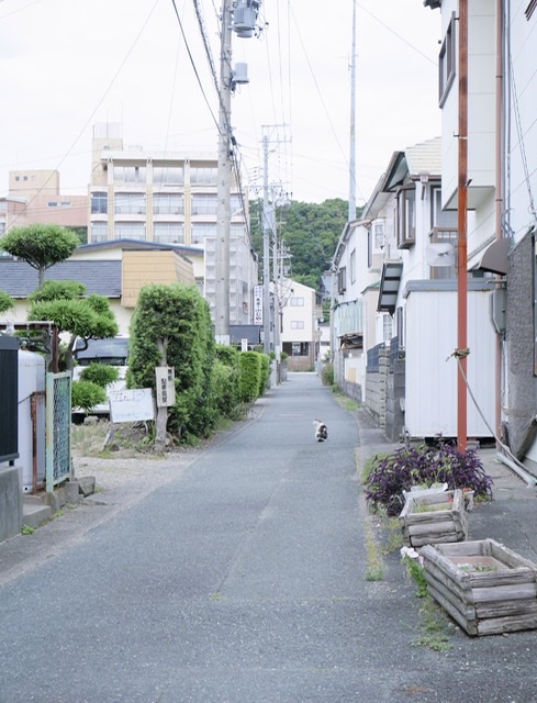 f:id:sora_nekoyashiki:20191226152752j:plain f:id:sora_nekoyashiki:20191226152752j:plain