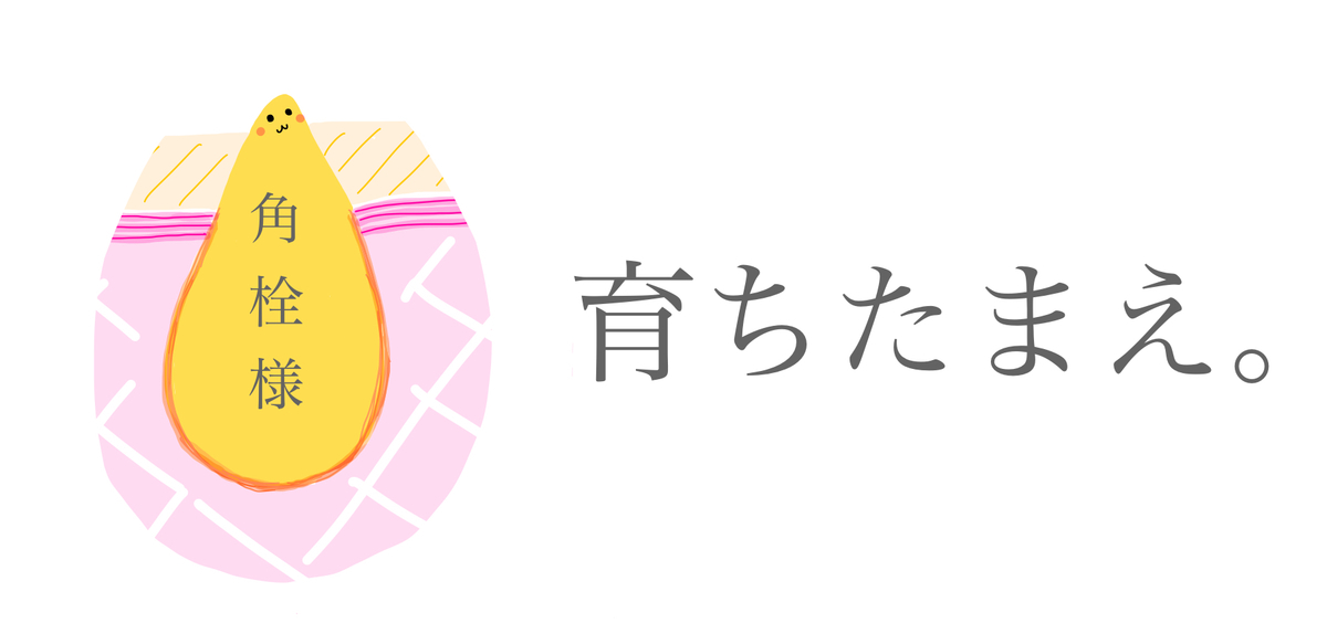 f:id:soraaroma:20200607134703j:plain
