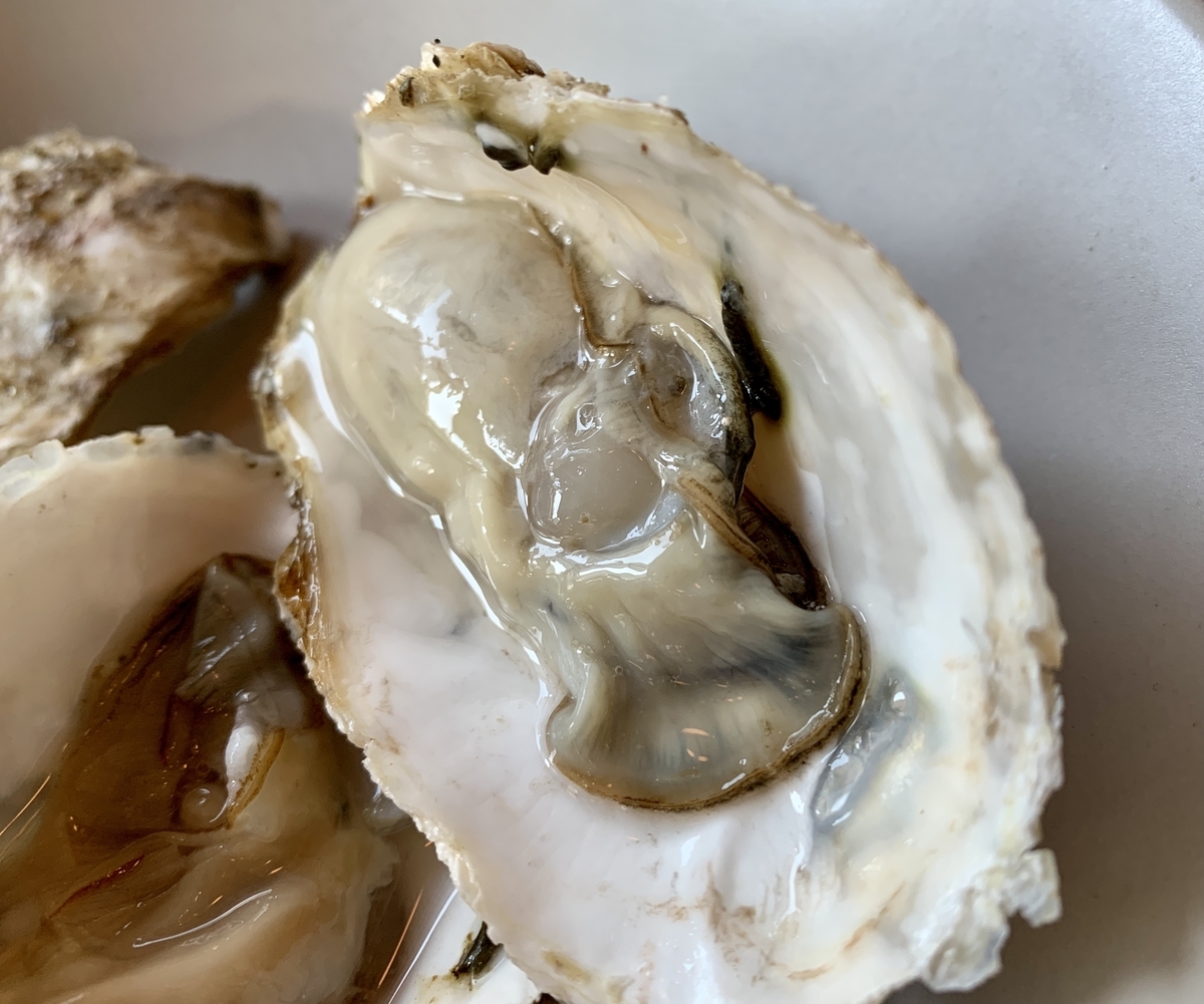 BRIANZA TOKYO （ブリアンツァ トウキョウ）の生牡蠣