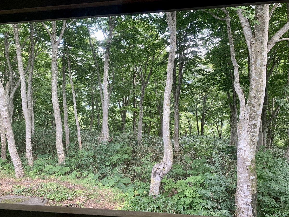 八甲田ホテルの景色