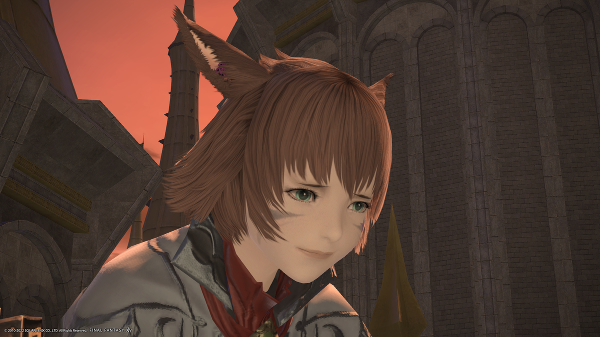 FF14 ガチャ アイメリク オルシュファン アルフィノ Mochi Gome 日記「オルシュファン様コスプレ準備」 | FINAL