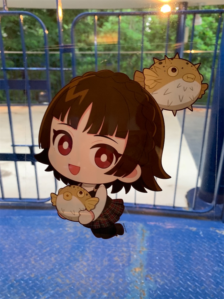 f:id:sorafox:20260607222323j:image