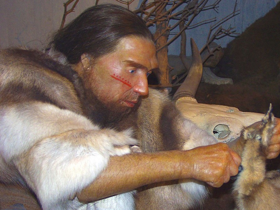 人類誕生 Nhkスペシャル ネアンデルタール人の行方 Somosomo