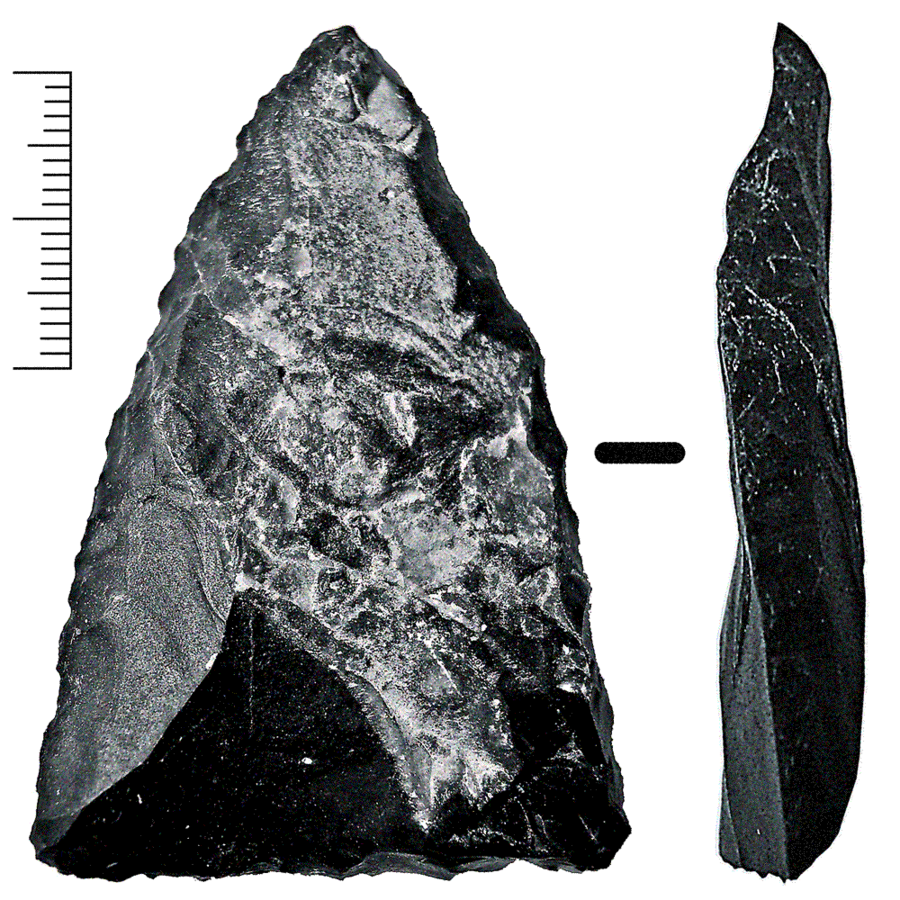 人類誕生 Nhkスペシャル ネアンデルタール人の行方 Somosomo