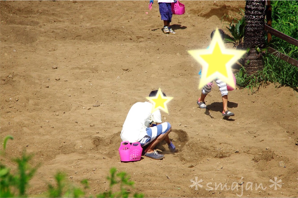 f:id:sorahalu:20170830142228j:image