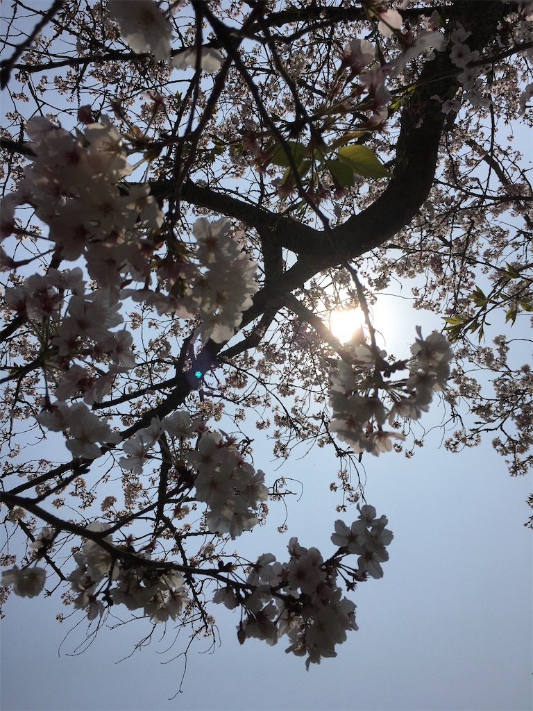 f:id:sorahitoumi:20200413131815j:image f:id:sorahitoumi:20200413131815j:image