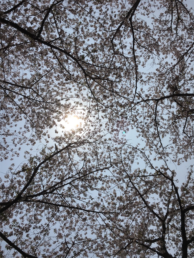 f:id:sorahitoumi:20200413131852j:image f:id:sorahitoumi:20200413131852j:image