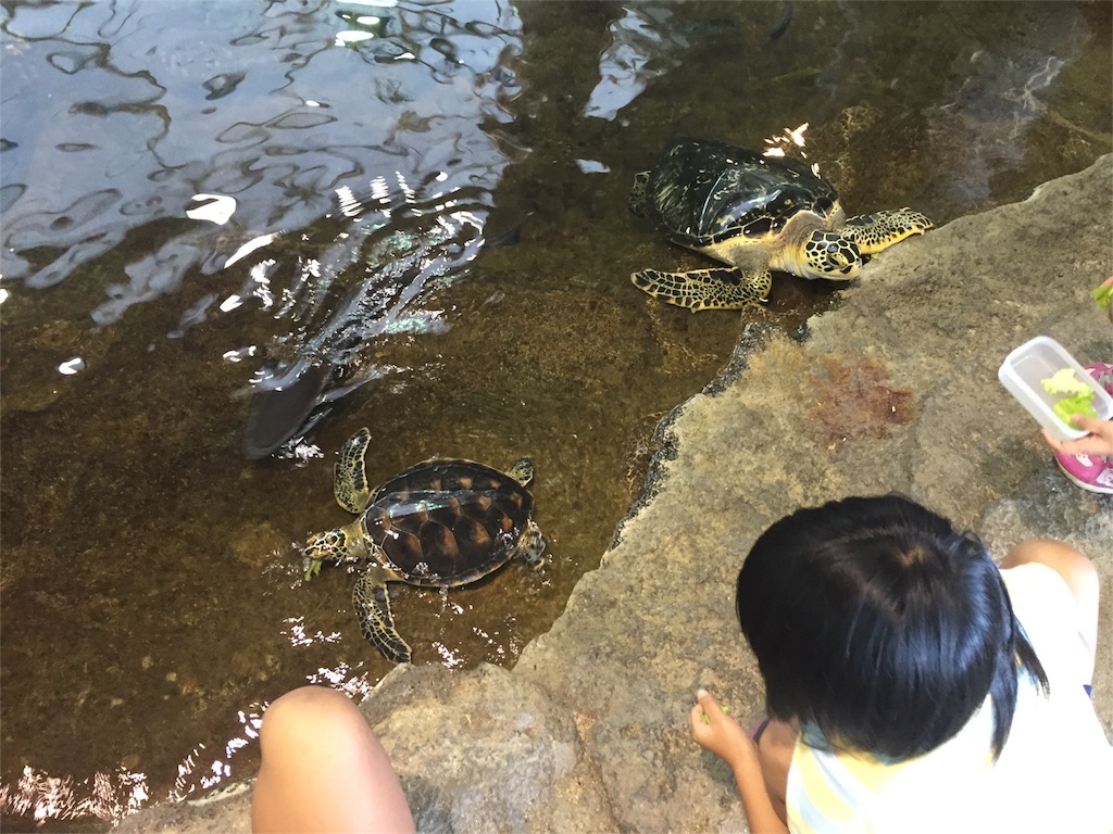 f:id:sorairo2000:20161011130516j:image f:id:sorairo2000:20161011130516j:image