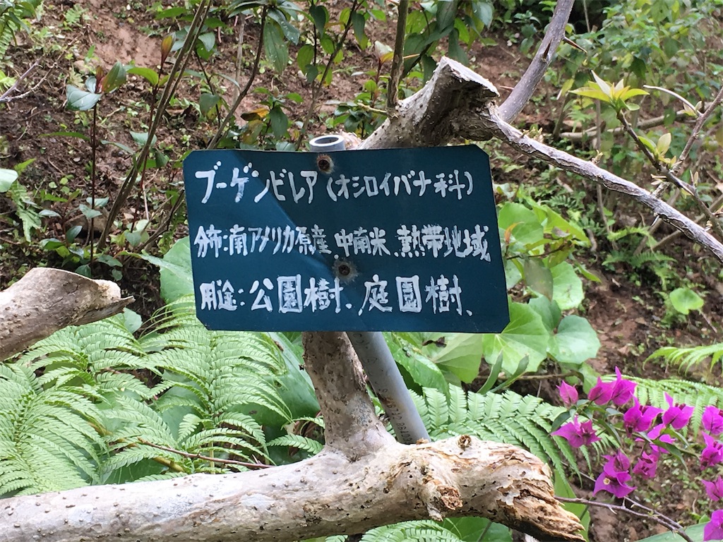 f:id:sorairo2000:20170511091950j:image