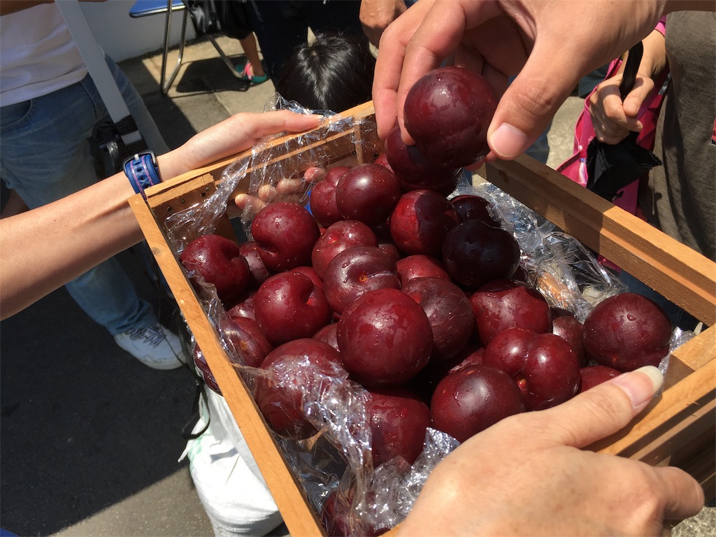 f:id:sorairo2000:20170618155406j:image