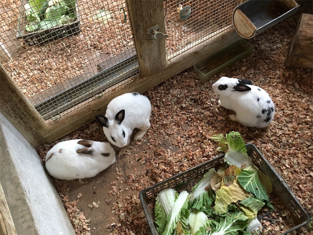 f:id:sorairo2000:20180121000146j:image