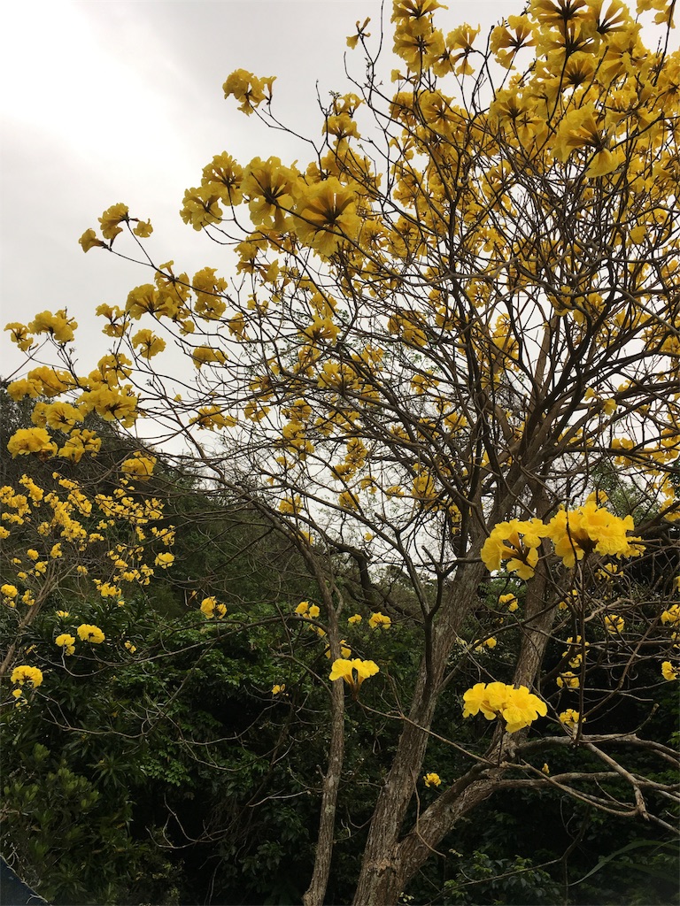 f:id:sorairo2000:20180328145126j:image
