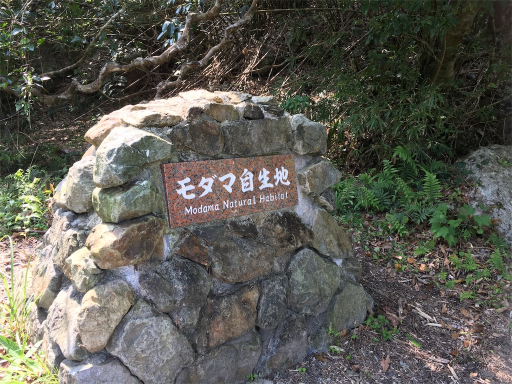 f:id:sorairo2000:20180507124833j:image