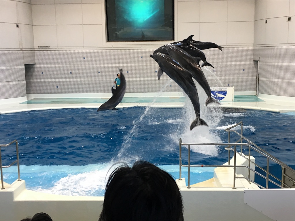 f:id:sorairo2000:20180826111142j:image