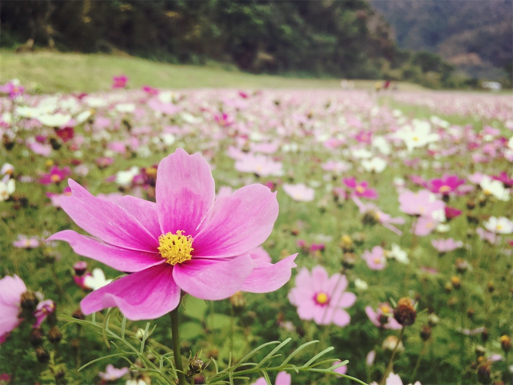 f:id:sorairo2000:20190122120417j:image