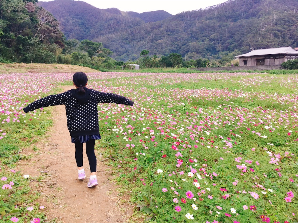 f:id:sorairo2000:20190122120521j:image