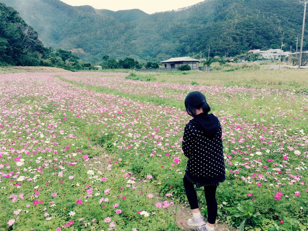 f:id:sorairo2000:20190122120534j:image