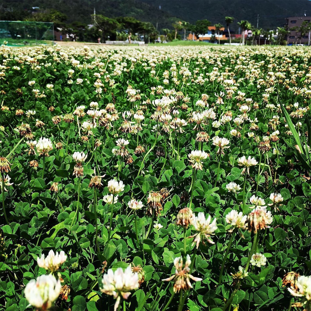 f:id:sorairo2000:20190522222632j:image
