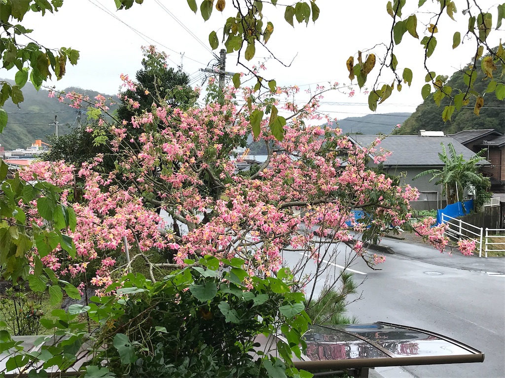 f:id:sorairo2000:20191201094544j:image f:id:sorairo2000:20191201094544j:image