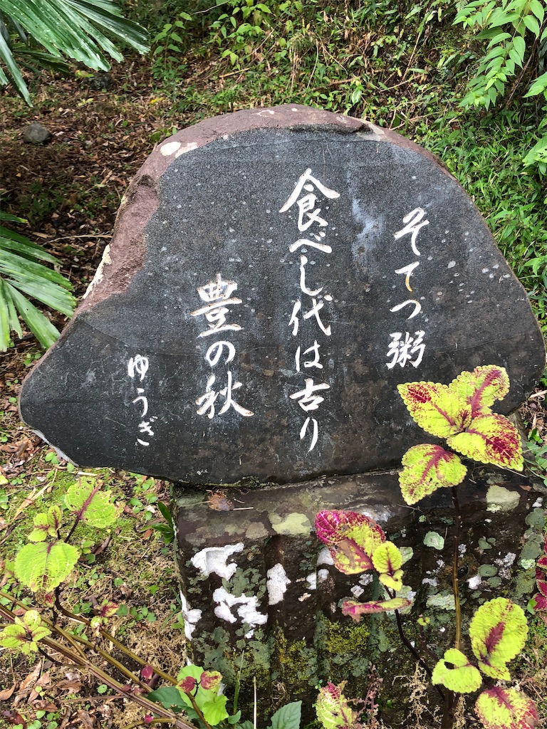 f:id:sorairo2000:20210128105543j:image