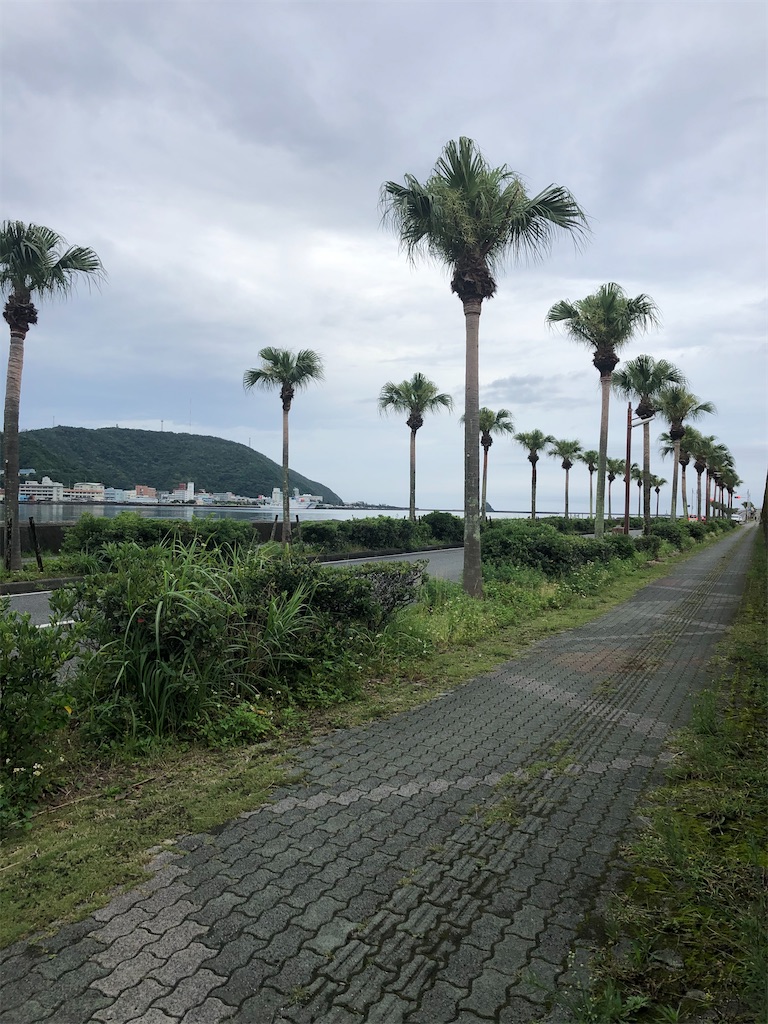 f:id:sorairo2000:20210910144714j:image
