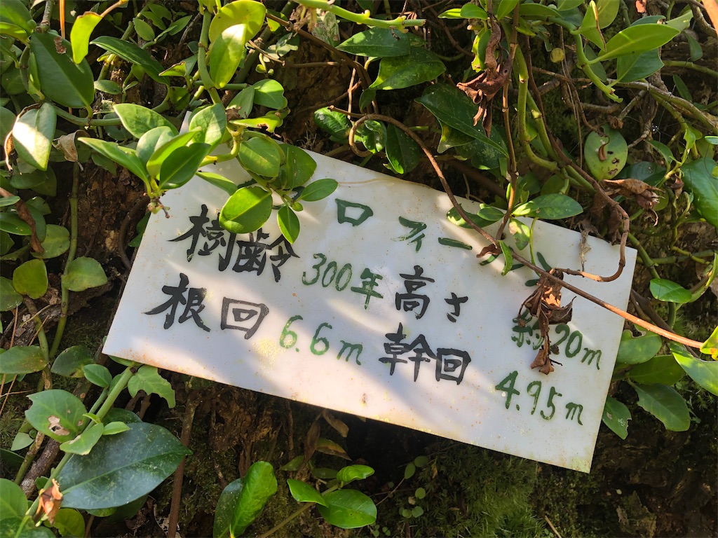 f:id:sorairo2000:20220508064957j:image
