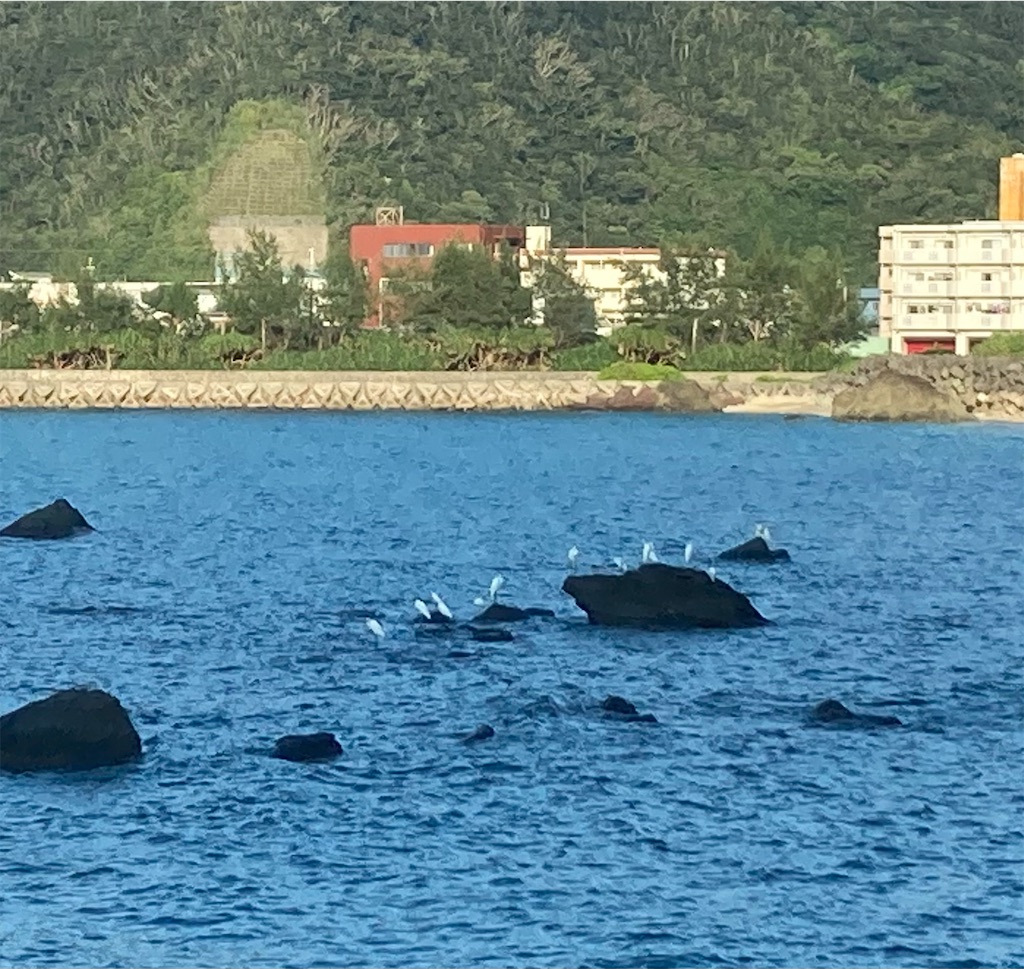 f:id:sorairo2000:20231008200437j:image