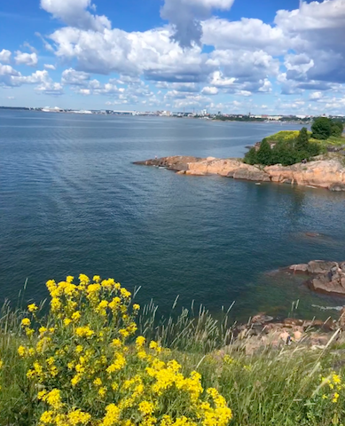 f:id:sorajiroblog:20180201162748p:plain