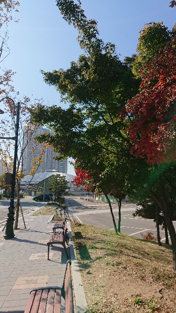 f:id:soram_ame123:20191114171408j:image