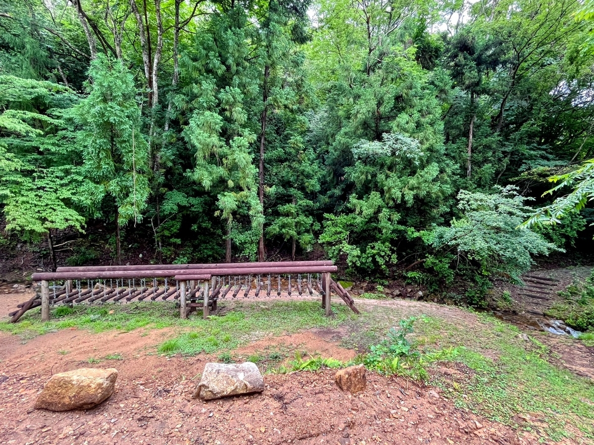 子ども　裸　キャンプ 