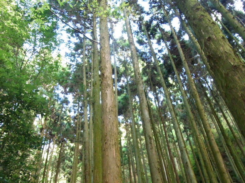 f:id:soramari:20111204005555j:image:w360:left f:id:soramari:20111204005555j:image:w360:left