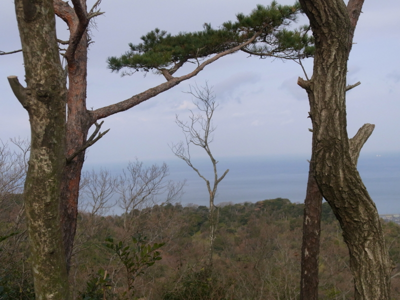 f:id:soramari:20120102201241j:image:w360:left f:id:soramari:20120102201241j:image:w360:left